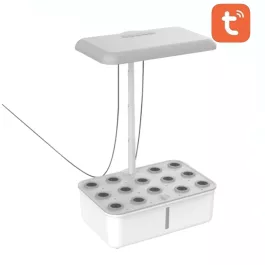 bonmario353517