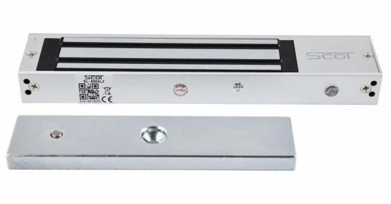 mikashop290456