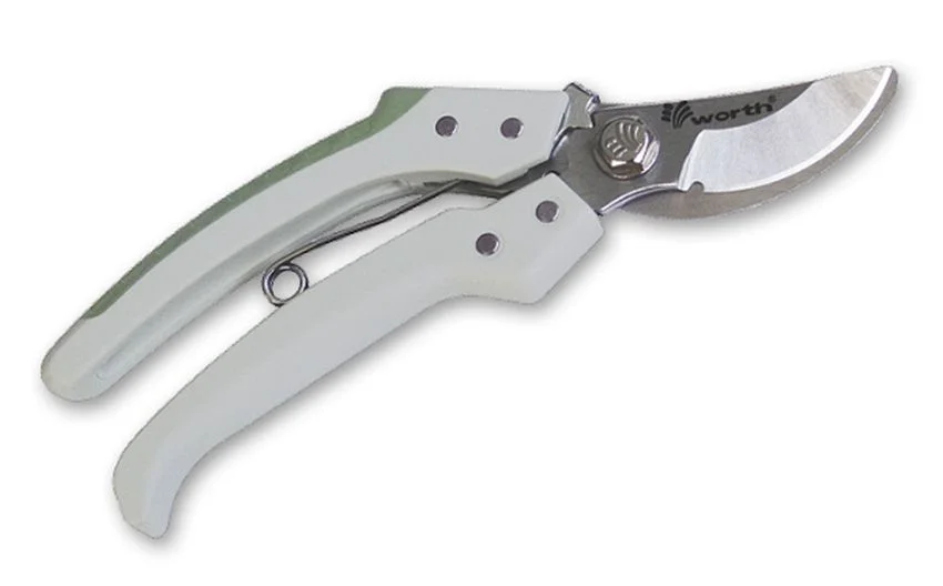 najder260017