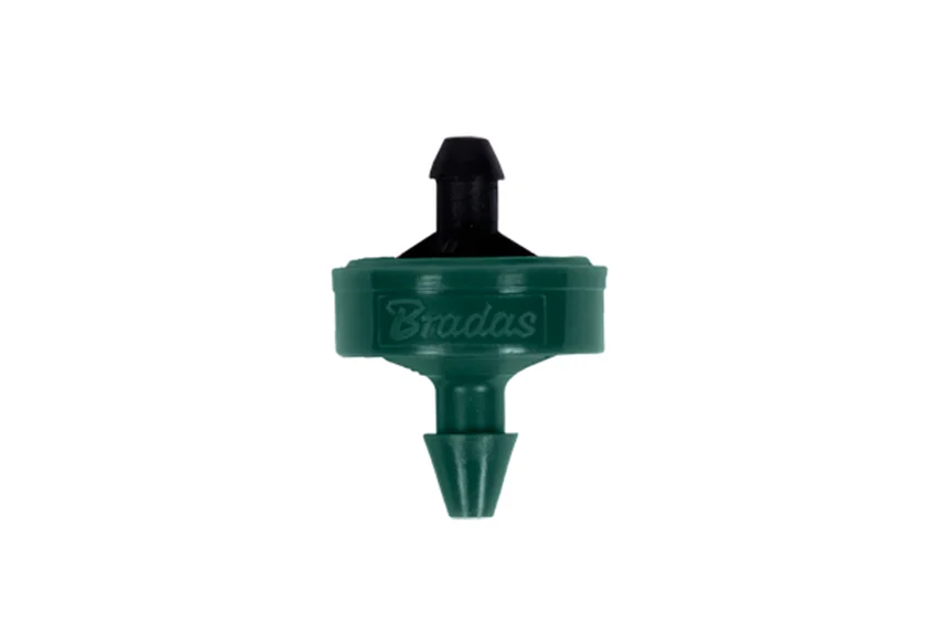 najder411900