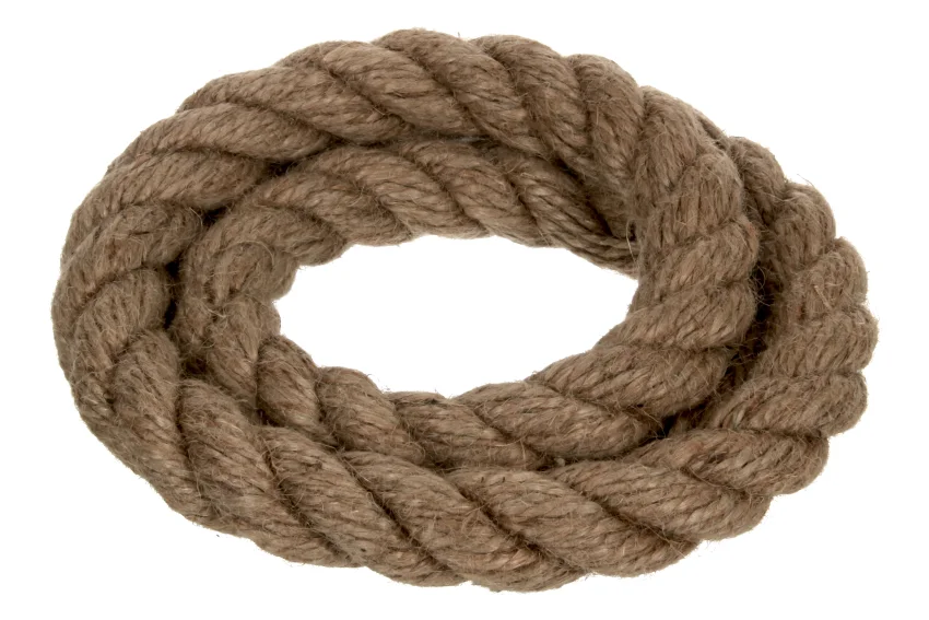 najder609739