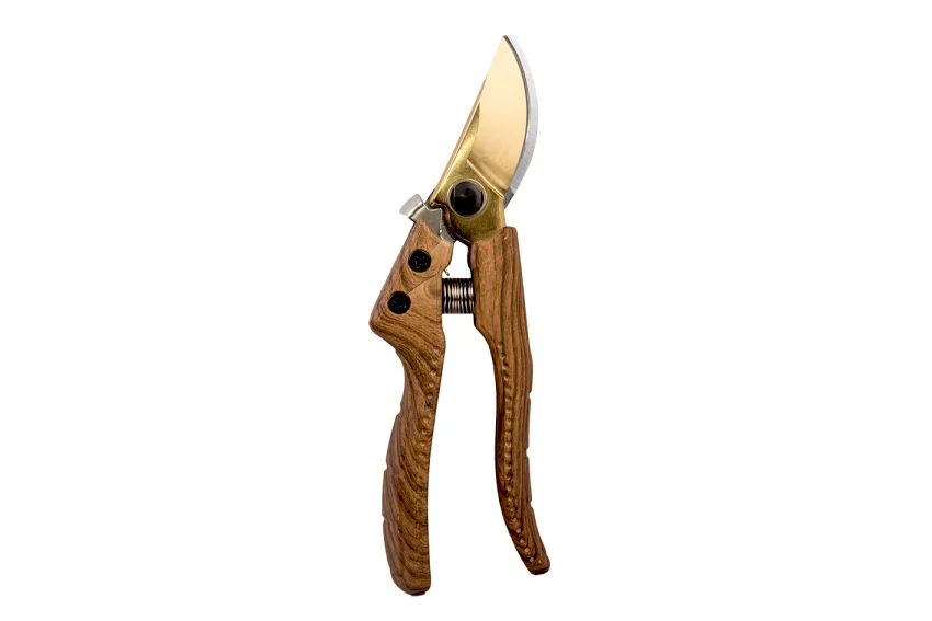najder636887